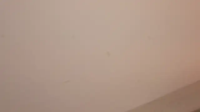 Melina_Ferrer1 webcam