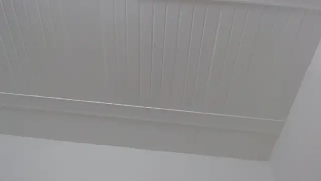 ElizabethMiler webcam