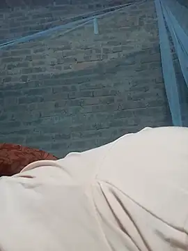Heli_pusy webcam