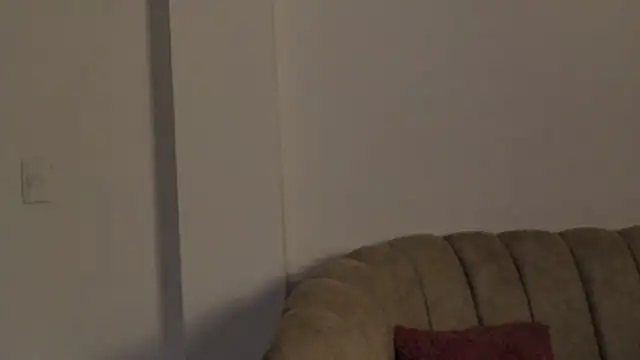Holy_un webcam