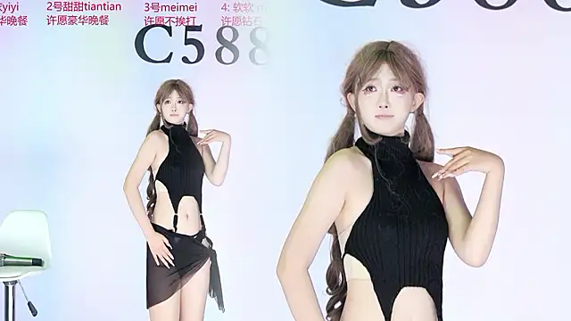 C5888 webcam