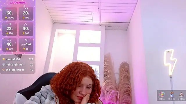 Haddes_as webcam