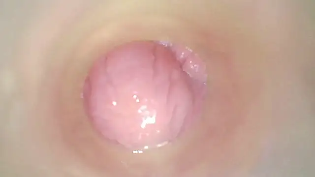 karol_stom webcam