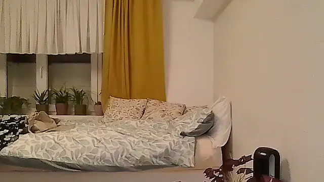 belgianshantie webcam