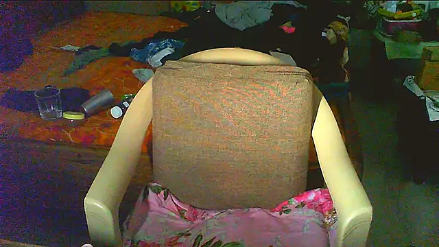 Vbestshow webcam