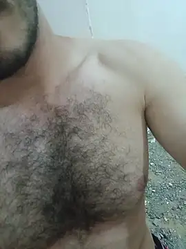 felfil webcam