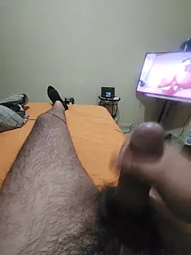 rulpi1313 webcam