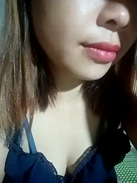 embe1144 webcam