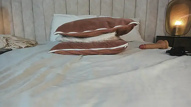 HalleyDream webcam