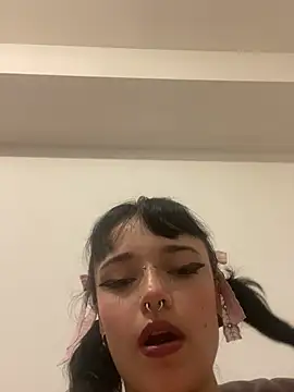 Sakya_mp3 webcam