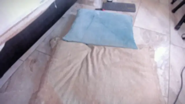babepolly webcam