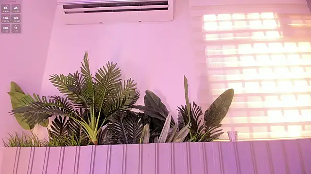 stephanymonroe webcam