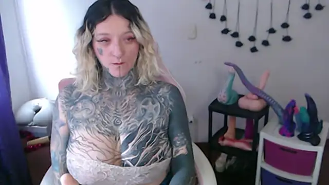 SLOPPYTITSS webcam