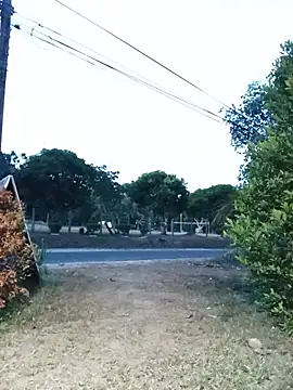 Hiptonos