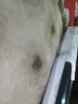 Transgender_26 live cam