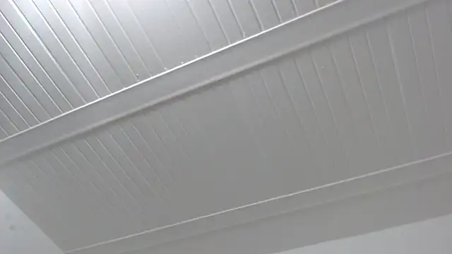 ElizabethMiler webcam