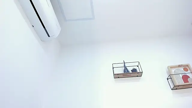 sam_doll_ webcam