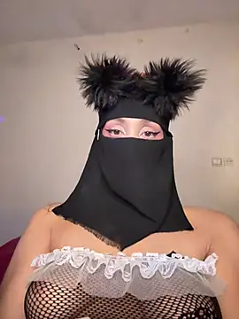 arabayla webcam