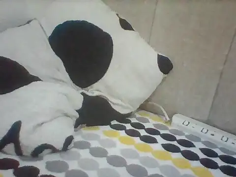 Bigbambam30 webcam