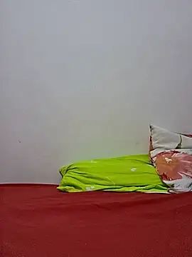 altinya webcam