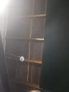natevillage webcam