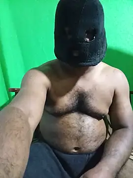 Hiptonos webcam
