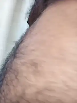Hiptonos live cam on StripChat