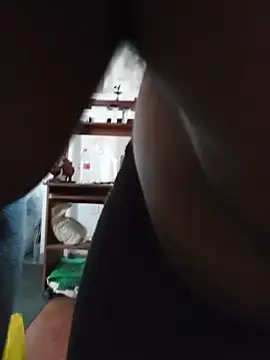 Hiptonos webcam
