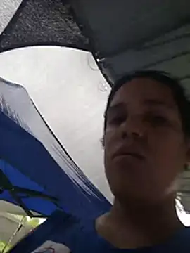 FynestBee webcam
