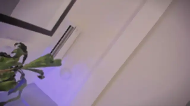 alejandrarojas_ webcam