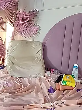 Nalapalmer webcam
