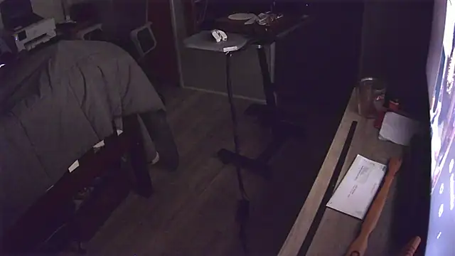 flasher15 webcam