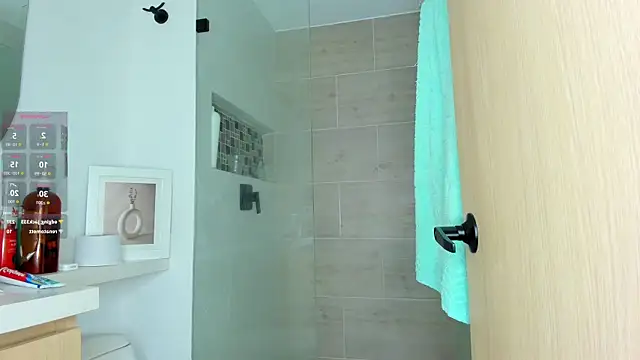 orionblaze69_ webcam