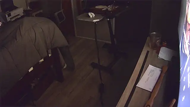 flasher15 webcam