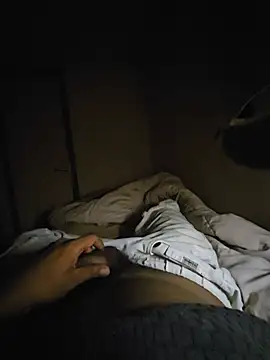 asyouorder webcam