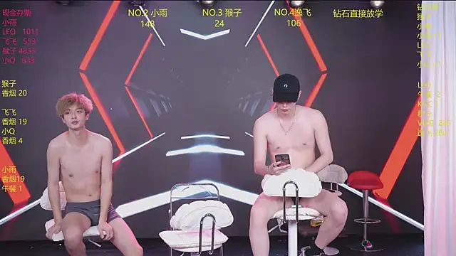 AAA-winner webcam