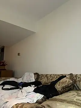 KOdaLion webcam