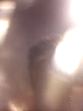 Minyogutz webcam