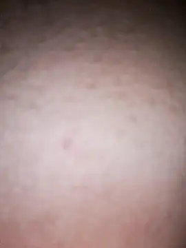 P-novin34 webcam