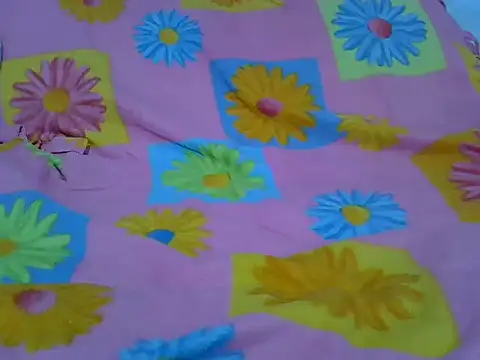 Swt_punany webcam