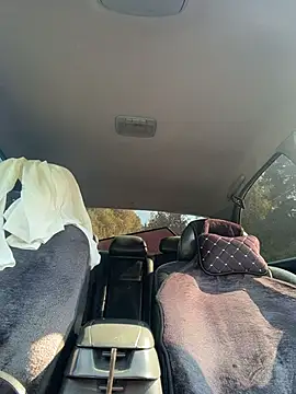 MerlinDave webcam