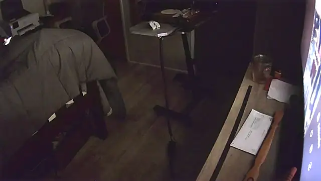flasher15 webcam