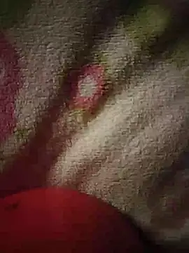 -Tara-a webcam