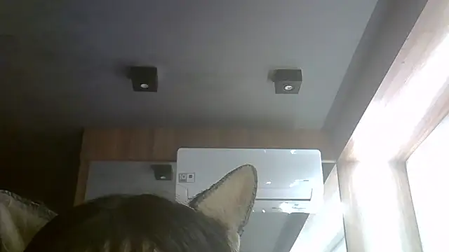SkinnyKitten webcam