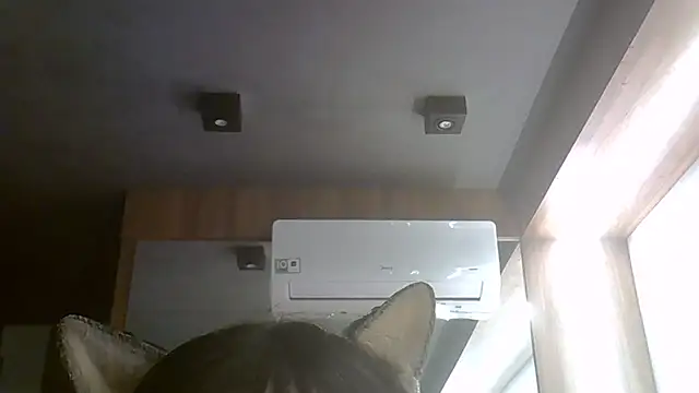 SkinnyKitten webcam