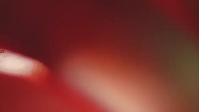 milli_sun_ webcam