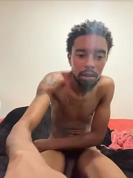 9blk webcam