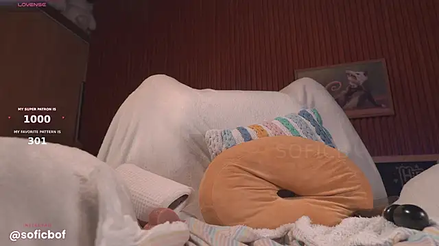 sofi_sc webcam