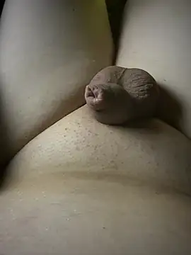 Devot24 webcam
