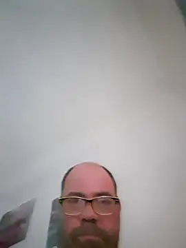accipicchio webcam